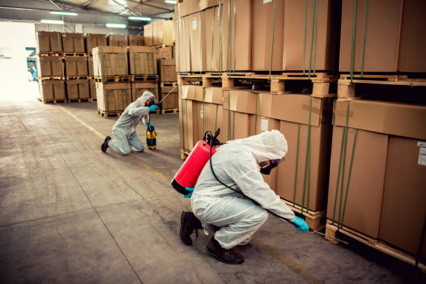 Best Best Pest Control Companies  in Parkers Prairie, MN
