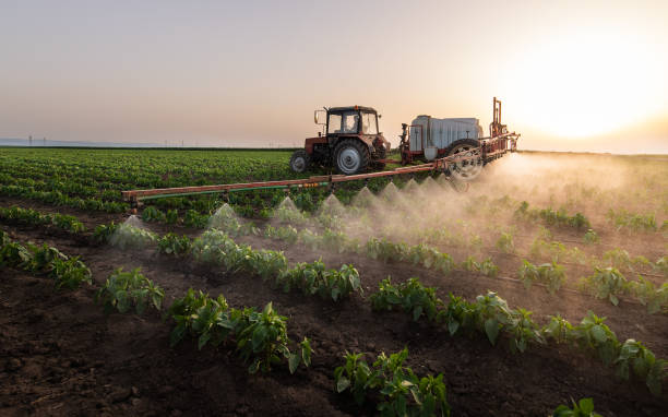 Trusted Parkers Prairie, MN Pest Control Experts