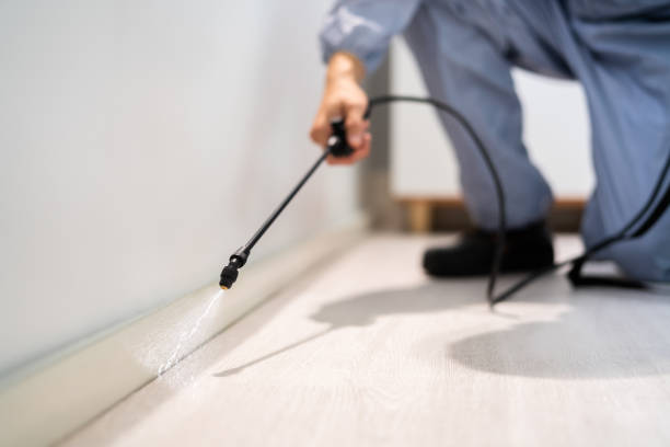 Best Pest Prevention Services  in Parkers Prairie, MN
