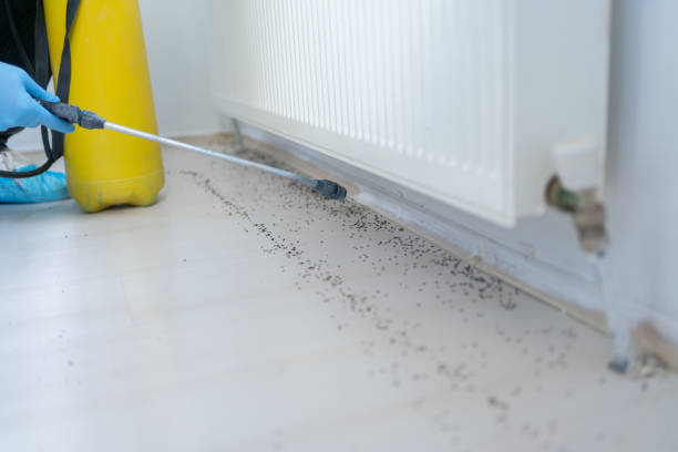 Best Exterminator Services  in Parkers Prairie, MN