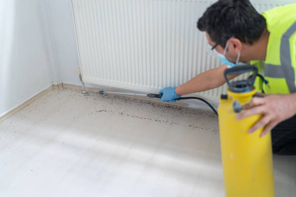 Best Pest Inspection Near Me  in Parkers Prairie, MN